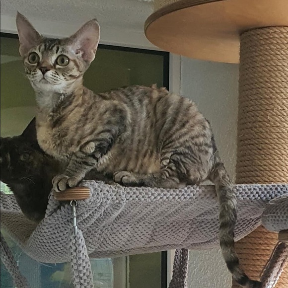 Don’t use anymore - Picture 4 of 7